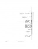 Análisis de los factores de impacto en la productividad de los trabajadores operativos de la empresa avícola AVÍ G S.A de C.V