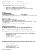 PLANIFICACION TEMA: “Conociendo mi jardín”