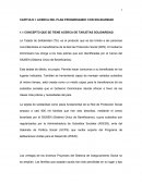 CAPITULO I: ACERCA DEL PLAN PROGRESANDO CON SOLIDARIDAD