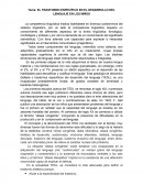 EL TRASTORNO ESPECÍFICO EN EL DESARROLLO DEL LENGUAJE EN LOS NIÑOS