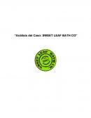 Análisis del Caso: SWEET LEAF BATH CO”
