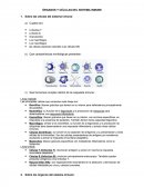 ÓRGANOS Y CÉLULAS DEL SISTEMA INMUNE