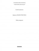 ANÁLISIS ESTRUCTURAL I TEMA; investigación