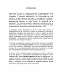 Actualmente el mundo se encuentra compuesto de organizaciones