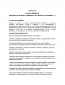 ESTUDIO AMBIENTAL DIAGNOSTICO DE IMPACTO AMBIENTAL DEL PROYECTO “ECAMERK S.A.”