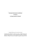 Abordaje interdisciplinario del maltrato, la violencia y el abuso sexual en la infancia