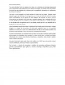 Michael porter comentario