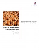 Proyecto Producción de Pellets de cáscara de Avellana