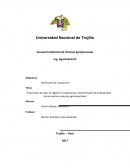 Transmisión de calor en régimen no estacionario: determinación de la difusividad térmica de los productos agroindustriales