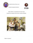 Evaluación de la capacidad física de fuerza, velocidad y flexibilidad