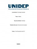 Importancia de la economía. Economía de mercados