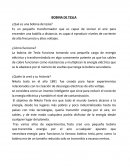 BOBINA DE TESLA ¿Qué es una bobina de tesla?