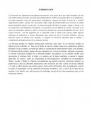 Las bacterias son organismos unicelulares procariontes