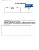 INFORME DE VIABILIDAD