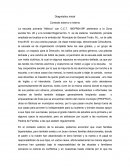 Diagnóstico inicial Contexto externo e interno