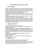 MALFORMACIONES CONGÉNITAS DE LA LARINGE