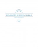 EXPLORACIÓN DE CABEZA Y CUELLO CLÍNICA PROPEDEÚTICA II