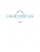 EXPLORACIÓN DE CABEZA Y CUELLO CLÍNICA PROPEDEÚTICA II