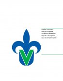 Análisis del Ausentismo Laboral en los empleados de Cinépolis Plaza Américas Veracruz Boca del Río (2016-2017)