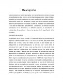 Descripción de una planta