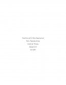 Importancia de la Cultura Organizacional Gestión de Personas