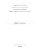 Tecnología de la Comunicación y La Información.