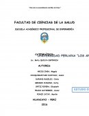 Estudio de mercado La empresa “PASITOS FELICES S.A.C.”