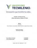 Actividad 1, Aportación de Caso ¿Dinero alternativo en México? El Túmin