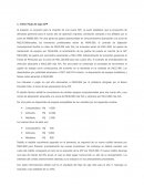 Taller Flujo de Caja AFP