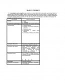 PARADIGMA SOCIO-COGNITIVO