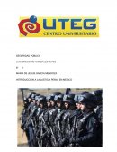 Seguridad publica en los municipios