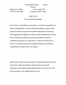 Unas gotas de fenomenologia