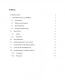 PROPUESTA DE DIAGNOSTICO ORGANIZACIONAL DE NORTON S.A.C.