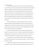 La Red de la sociedad