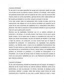 Crisis economica CAUSAS INTERNAS CAUSAS EXTERNAS