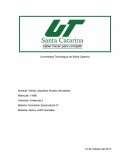 ¿Cuáles son las alternativas de solución y de creatividad?