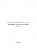 Redes inalámbricas WLAN y WWAN