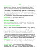 Como se da el Derecho Ambiental