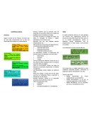 DESARROLLO SOCIAL INFANCIA