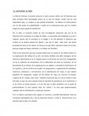 JUSTIFICACION ATENCION