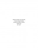 ESTABLEZCA LA POLÍTICA AMBIENTAL DE LA EMPRESA E INDIQUE SU PROCEDIMIENTO DE DISEÑO