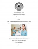Una nueva forma La enfermera en el proceso de evaluación, calidad y seguridad