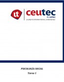 Ensayo Psicologia Social resume