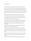 Ferreyros Estrategias Generales