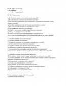 Un neuvo Puente en dovelas sucesivas