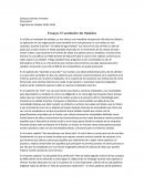 Ensayo del el vendedor de helados