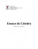 Pedagogía en Historia y Ciencias Sociales