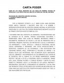 Ensayo sobre una Carta poder