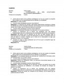 COORDINADORA DE CRM (COUSTUMING RELATIONSHIP MANANGMENT)