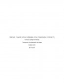Sistema de Transporte Continuo de Materiales, Correa Transportadora y Tornillo sin Fin